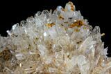 Hemimorphite Crystal Cluster - Chihuahua, Mexico #103843-2